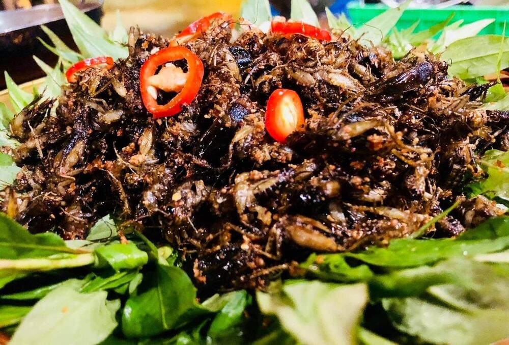 Dế chiên nước mắm giòn tan, đậm vị và trở thành món ăn lạ miệng hấp dẫn nhiều thực khách ưa khám phá (Nguồn: Dealtoday)